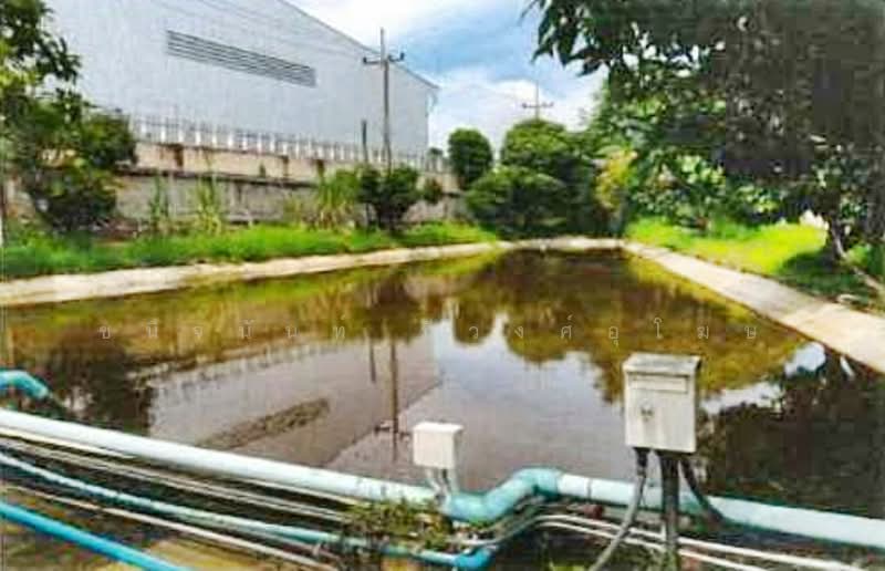 โรงงานยางมะตอย 22.5 ไร่ ระยอง, Rayong, Makhamku, Nikhom Pattana, Rayong, , 5,000 sqm, Warehouse/Factory For Sale, by Chanitnun Mewongukote, 500150617 - DDproperty.com