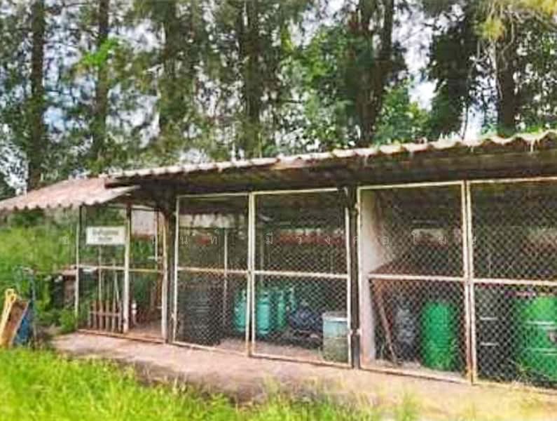 โรงงานยางมะตอย 22.5 ไร่ ระยอง, Rayong, Makhamku, Nikhom Pattana, Rayong, , 5,000 sqm, Warehouse/Factory For Sale, by Chanitnun Mewongukote, 500150617 - DDproperty.com