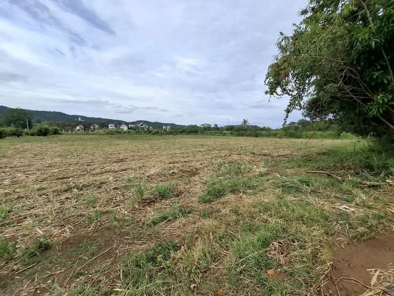 For Sale - Prime Khao Yai Land 5 Rai Pong Ta Long Near Toscana 3.9M Per Rai, Nakhon Ratchasima
