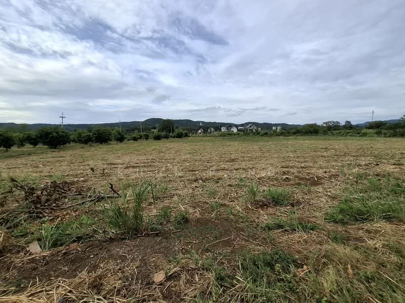 For Sale - Prime Khao Yai Land 5 Rai Pong Ta Long Near Toscana 3.9M Per Rai, Nakhon Ratchasima