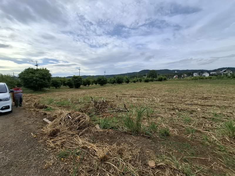 For Sale - Prime Khao Yai Land 5 Rai Pong Ta Long Near Toscana 3.9M Per Rai, Nakhon Ratchasima