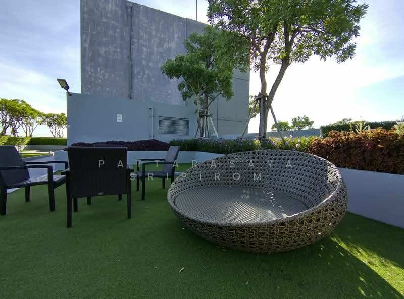 The Base Park East Sukhumvit 77, Bangkok, 99 Soi Pridi Banomyong 2, Phra Kanong Nua, Watthana, Bangkok, 1 Bedroom, 30 sqm, Condo For Rent, by Pattarasaya Sripirom, 500150856 - DDproperty.com