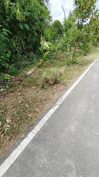 ขายที่ดิน 91 ตรว. พุทธมณฑล นครปฐม สำหรับสร้างบ้าน, นครปฐม, คลองโยง, พุทธมณฑล, นครปฐม, 364 ตร.ม., ที่ดิน ขาย, โดย ชนิจนันท์ มีวงศ์อุโฆษ, 500150962 - DDproperty.com