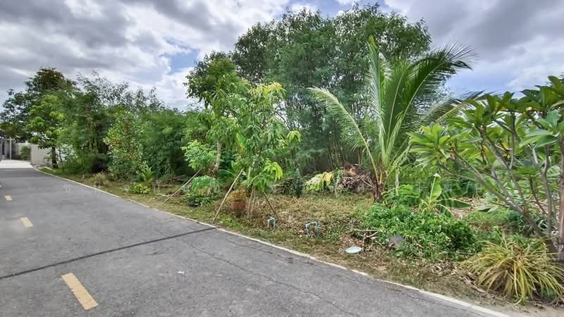 Land 91 sqw Nakornpathom, Nakhon Pathom, Khlong Yong, Phuttha Mon Thon, Nakhon Pathom, , 364 sqm, Land For Sale, by Chanitnun Mewongukote, 500150962 - DDproperty.com