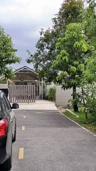 Land 91 sqw Nakornpathom, Nakhon Pathom, Khlong Yong, Phuttha Mon Thon, Nakhon Pathom, , 364 sqm, Land For Sale, by Chanitnun Mewongukote, 500150962 - DDproperty.com