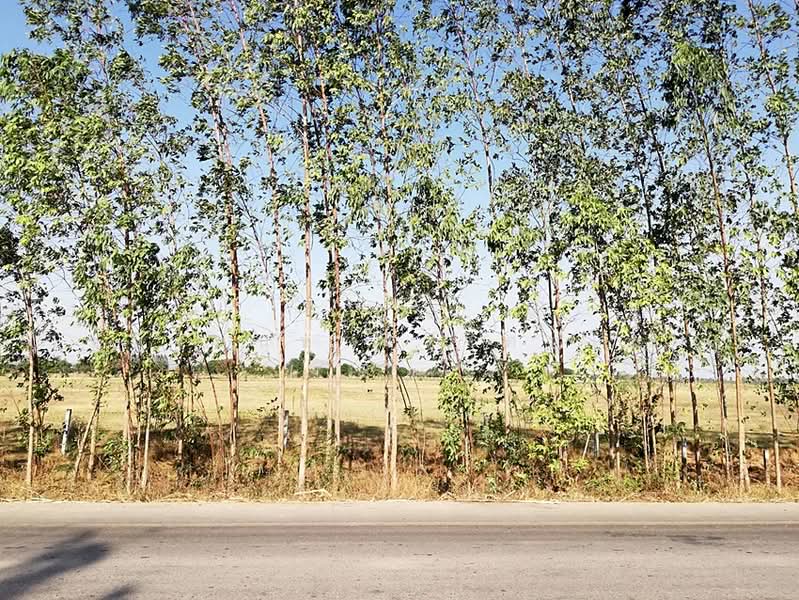 ที่ดิน 37 ไร่ ห้วยกระเจา กาญจนบุรี, กาญจนบุรี, สระลงเรือ, ห้วยกระเจา, กาญจนบุรี, 59,144 ตร.ม., ที่ดิน ขาย, โดย ชนิจนันท์ มีวงศ์อุโฆษ, 500150971 - DDproperty.com