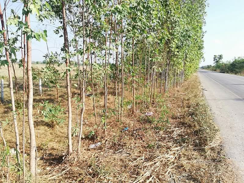 ที่ดิน 37 ไร่ ห้วยกระเจา กาญจนบุรี, กาญจนบุรี, สระลงเรือ, ห้วยกระเจา, กาญจนบุรี, 59,144 ตร.ม., ที่ดิน ขาย, โดย ชนิจนันท์ มีวงศ์อุโฆษ, 500150971 - DDproperty.com