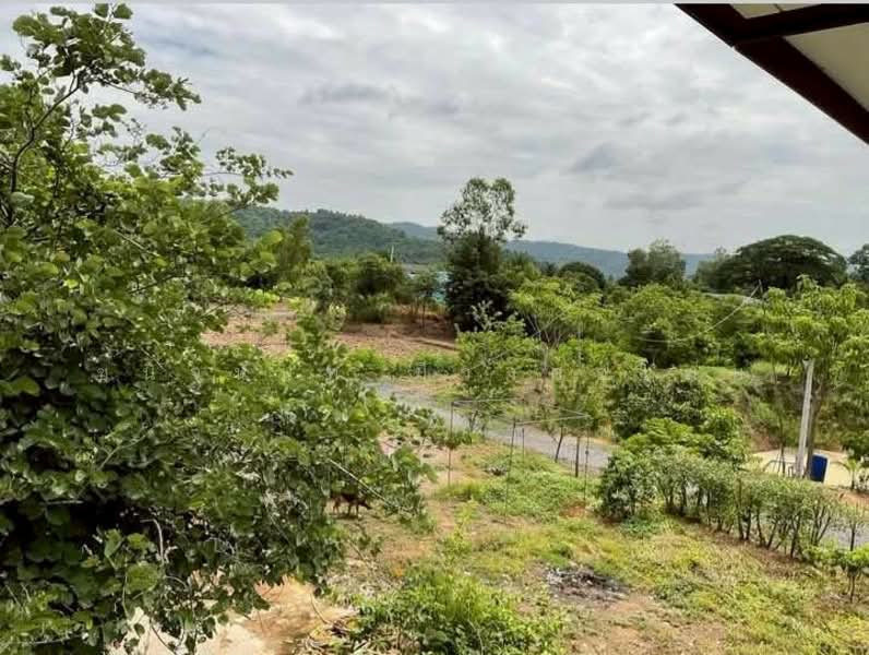 Land and House 8 rai Saraburi, Saraburi, Ban Lam, Wihan Daeng, Saraburi, , 13,104 sqm, Land For Sale, by Chanitnun Mewongukote, 500150980 - DDproperty.com