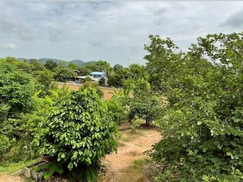 Land and House 8 rai Saraburi, Saraburi, Ban Lam, Wihan Daeng, Saraburi, , 13,104 sqm, Land For Sale, by Chanitnun Mewongukote, 500150980 - DDproperty.com