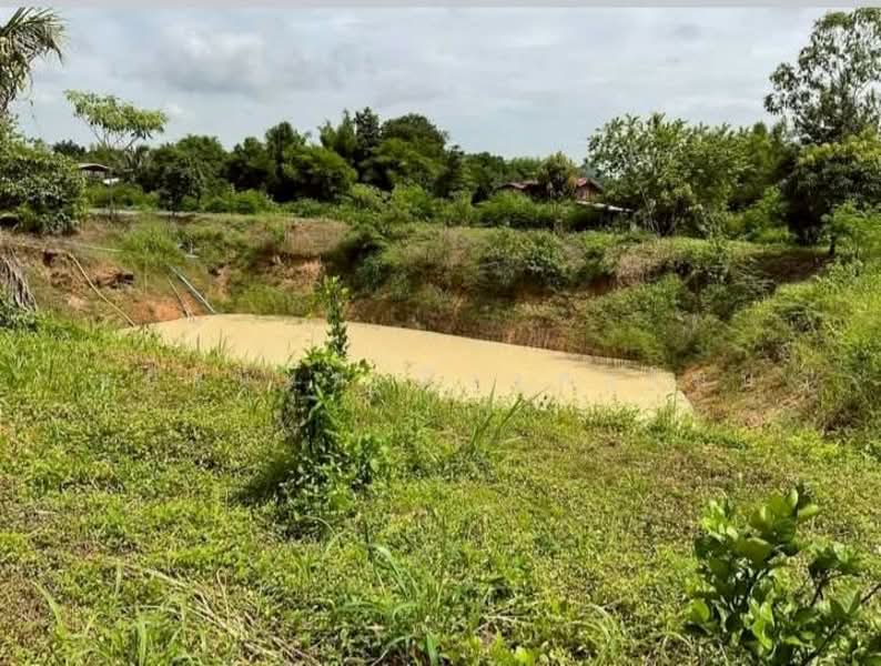 ที่ดิน 8 ไร่ ใกล้รพ.วิหารแดง สระบุรี, สระบุรี, บ้านลำ, วิหารแดง, สระบุรี, 13,104 ตร.ม., ที่ดิน ขาย, โดย ชนิจนันท์ มีวงศ์อุโฆษ, 500150980 - DDproperty.com