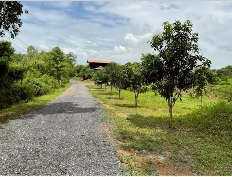 Land and House 8 rai Saraburi, Saraburi, Ban Lam, Wihan Daeng, Saraburi, , 13,104 sqm, Land For Sale, by Chanitnun Mewongukote, 500150980 - DDproperty.com