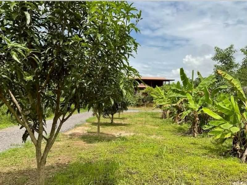 Land and House 8 rai Saraburi, Saraburi, Ban Lam, Wihan Daeng, Saraburi, , 13,104 sqm, Land For Sale, by Chanitnun Mewongukote, 500150980 - DDproperty.com