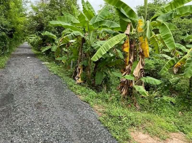 Land and House 8 rai Saraburi, Saraburi, Ban Lam, Wihan Daeng, Saraburi, , 13,104 sqm, Land For Sale, by Chanitnun Mewongukote, 500150980 - DDproperty.com