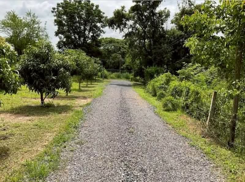 Land and House 8 rai Saraburi, Saraburi, Ban Lam, Wihan Daeng, Saraburi, , 13,104 sqm, Land For Sale, by Chanitnun Mewongukote, 500150980 - DDproperty.com