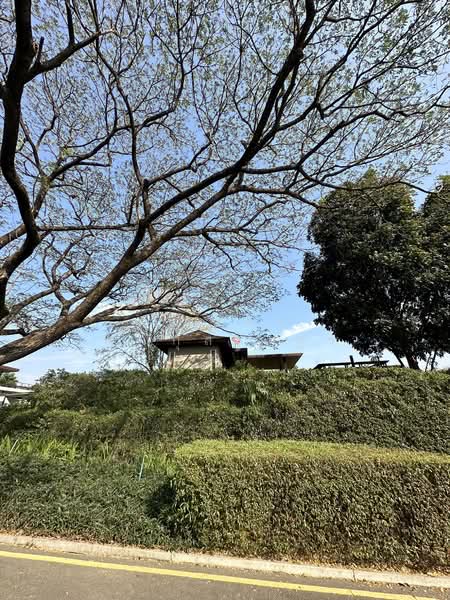 Baan Sita Wan Pakchong-Khaoyai : บ้านสีตวัน ปากช่อง เขาใหญ่, นครราชสีมา, 999 บ้านหนองมะค่า, ปากช่อง, ปากช่อง, นครราชสีมา, 300 ตร.ม., บ้านเดี่ยว ขาย, โดย ไอยดา พุฒิกุลางกูร, 500151106 - DDproperty.com