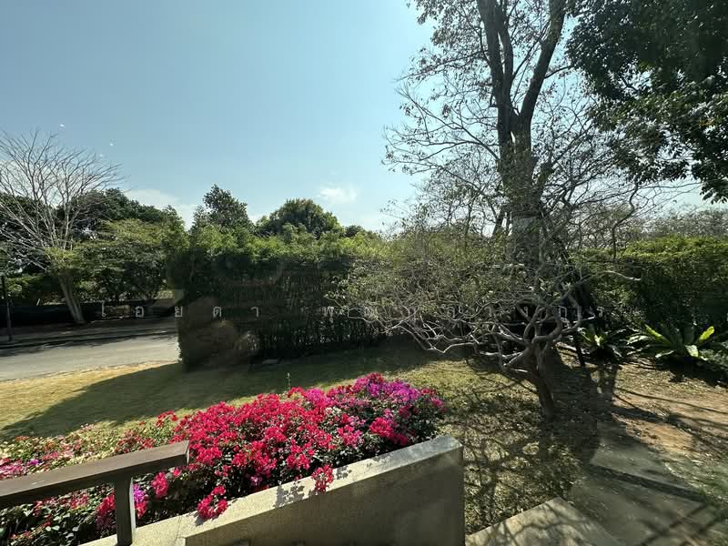 Baan Sita Wan Pakchong-Khaoyai : บ้านสีตวัน ปากช่อง เขาใหญ่, นครราชสีมา, 999 บ้านหนองมะค่า, ปากช่อง, ปากช่อง, นครราชสีมา, 300 ตร.ม., บ้านเดี่ยว ขาย, โดย ไอยดา พุฒิกุลางกูร, 500151106 - DDproperty.com