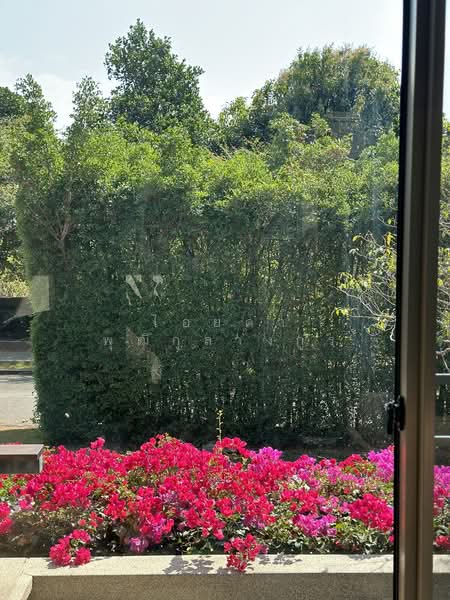 Baan Sita Wan Pakchong-Khaoyai : บ้านสีตวัน ปากช่อง เขาใหญ่, นครราชสีมา, 999 บ้านหนองมะค่า, ปากช่อง, ปากช่อง, นครราชสีมา, 300 ตร.ม., บ้านเดี่ยว ขาย, โดย ไอยดา พุฒิกุลางกูร, 500151106 - DDproperty.com