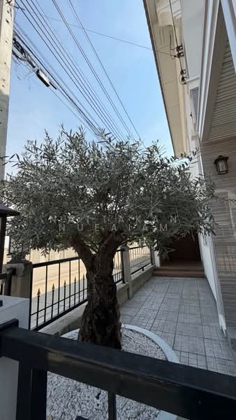 Golden Neo 2 Ramintra-Wongwaen : โกลเด้น นีโอ 2 รามอินทรา-วงแหวน, กรุงเทพ, ถนนกาญจนาภิเษก, ท่าแร้ง, บางเขน, กรุงเทพ, 136 ตร.ม., บ้านเดี่ยว ขาย, โดย Nattakan nueaiam, 500151139 - DDproperty.com