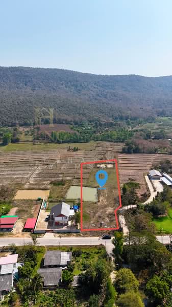 ขาย - เวียงห้าว, เชียงราย