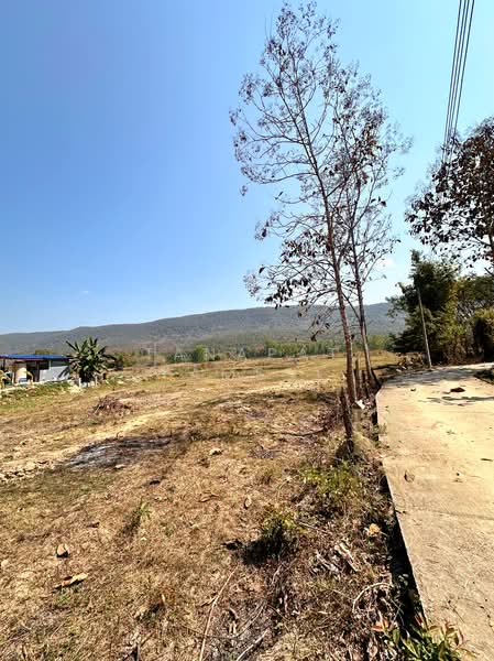 เวียงห้าว, Chiang Rai, Wieng Hao, Phan, Chiang Rai, , 7,344 sqm, Land For Sale, by Tanapat Yamsai, 500151156 - DDproperty.com
