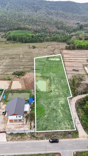 เวียงห้าว, Chiang Rai, Wieng Hao, Phan, Chiang Rai, , 7,344 sqm, Land For Sale, by Tanapat Yamsai, 500151156 - DDproperty.com