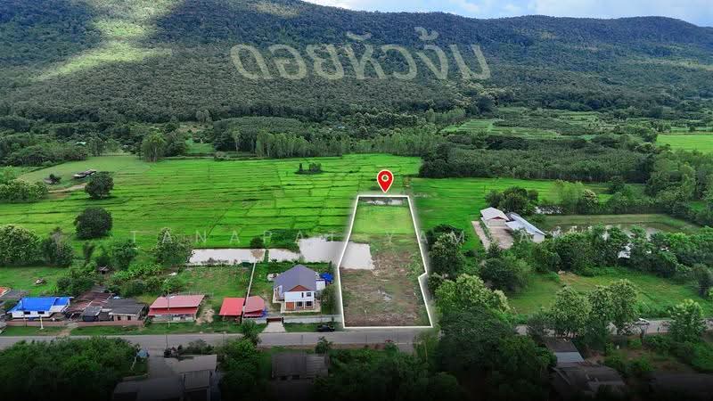 เวียงห้าว, เชียงราย, เวียงห้าว, พาน, เชียงราย, 7,344 ตร.ม., ที่ดิน ขาย, โดย Tanapat Yamsai, 500151156 - DDproperty.com