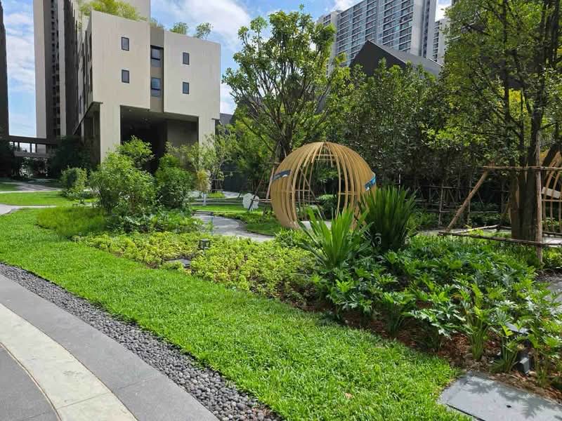 Nue Riverest Ratburana, Bangkok, Rat Burana Road, Rat Burana, Rat Burana, Bangkok, 1 Bedroom, 25 sqm, Condo For Rent, by กำพนธ์ อัศวศิริวิลาศ, 500151170 - DDproperty.com