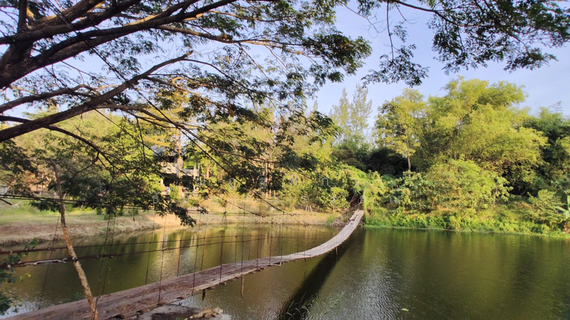 ตำบลบางพระ อำเภอศรีราชา จังหวัดชลบุรี, ชลบุรี, บางพระ, ศรีราชา, ชลบุรี, 8,492 ตร.ม., ที่ดิน ขาย, โดย ณัฏฐ์ฑิภา ธันยาวรรธณ์, 500151194 - DDproperty.com