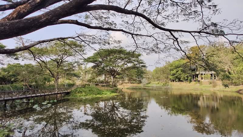 ตำบลบางพระ อำเภอศรีราชา จังหวัดชลบุรี, ชลบุรี, บางพระ, ศรีราชา, ชลบุรี, 8,492 ตร.ม., ที่ดิน ขาย, โดย ณัฏฐ์ฑิภา ธันยาวรรธณ์, 500151194 - DDproperty.com