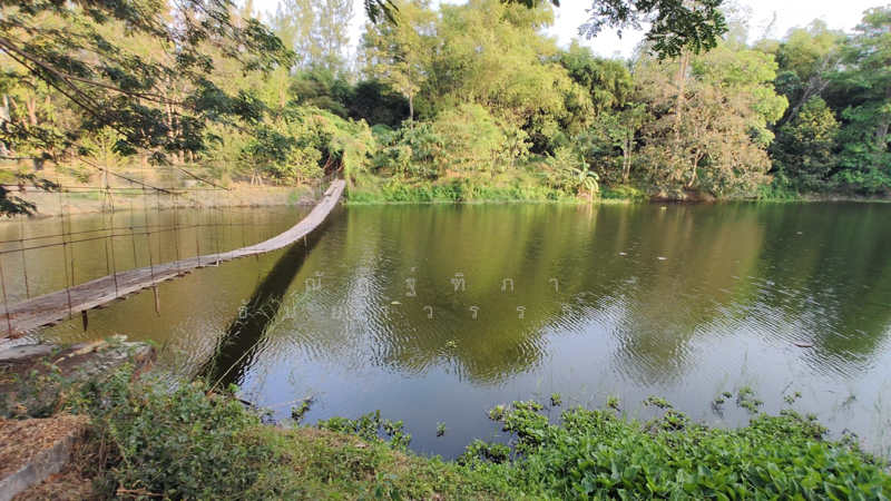 ตำบลบางพระ อำเภอศรีราชา จังหวัดชลบุรี, ชลบุรี, บางพระ, ศรีราชา, ชลบุรี, 8,492 ตร.ม., ที่ดิน ขาย, โดย ณัฏฐ์ฑิภา ธันยาวรรธณ์, 500151194 - DDproperty.com