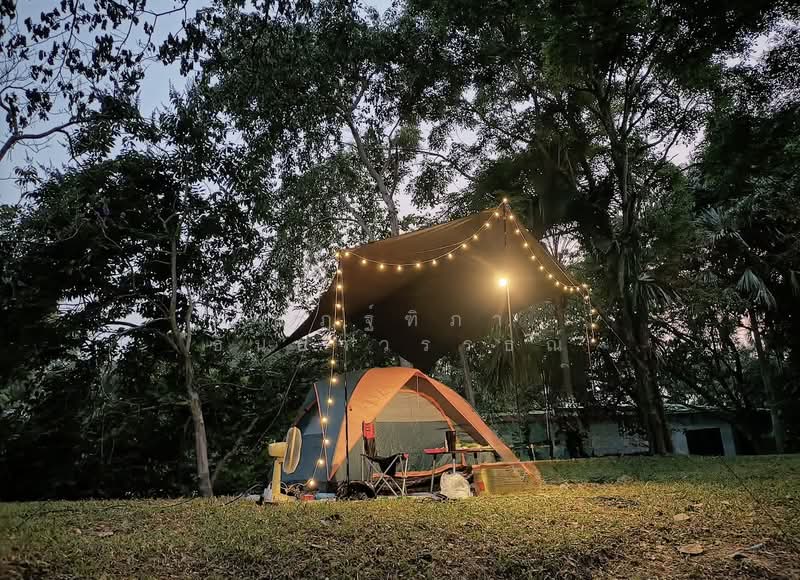 ตำบลบางพระ อำเภอศรีราชา จังหวัดชลบุรี, Chon Buri (Pattaya), Bang Phra, Si Racha, Chon Buri (Pattaya), , 8,492 sqm, Land For Sale, by Nattipha Thanyawat, 500151194 - DDproperty.com