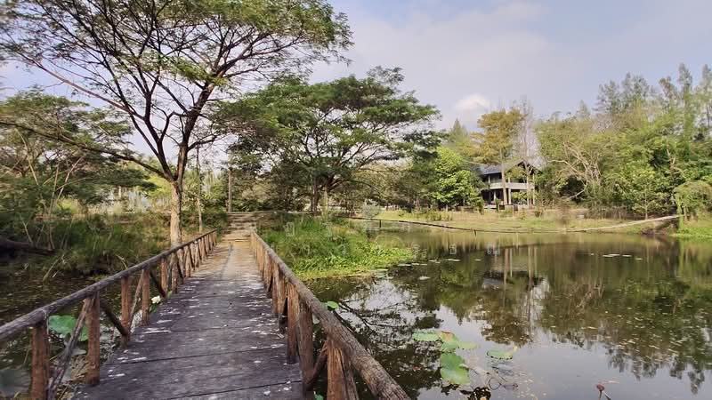 ตำบลบางพระ อำเภอศรีราชา จังหวัดชลบุรี, ชลบุรี, บางพระ, ศรีราชา, ชลบุรี, 8,492 ตร.ม., ที่ดิน ขาย, โดย ณัฏฐ์ฑิภา ธันยาวรรธณ์, 500151194 - DDproperty.com