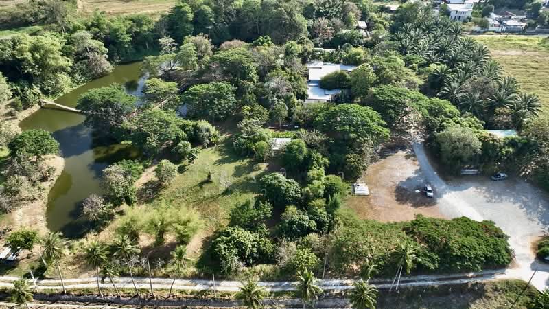 ตำบลบางพระ อำเภอศรีราชา จังหวัดชลบุรี, Chon Buri (Pattaya), Bang Phra, Si Racha, Chon Buri (Pattaya), , 8,492 sqm, Land For Sale, by Nattipha Thanyawat, 500151194 - DDproperty.com