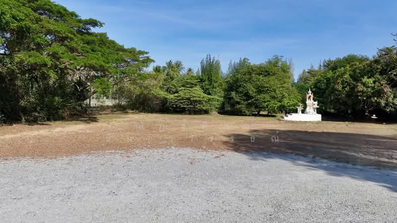 ตำบลบางพระ อำเภอศรีราชา จังหวัดชลบุรี, Chon Buri (Pattaya), Bang Phra, Si Racha, Chon Buri (Pattaya), , 8,492 sqm, Land For Sale, by Nattipha Thanyawat, 500151194 - DDproperty.com