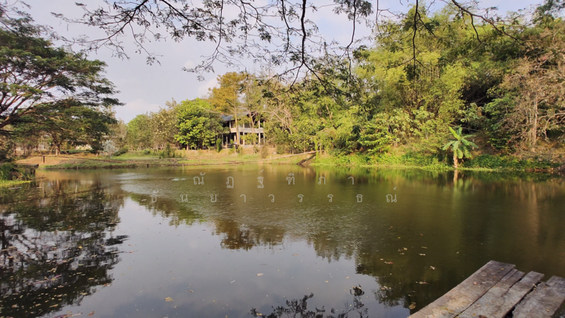 ตำบลบางพระ อำเภอศรีราชา จังหวัดชลบุรี, ชลบุรี, บางพระ, ศรีราชา, ชลบุรี, 8,492 ตร.ม., ที่ดิน ขาย, โดย ณัฏฐ์ฑิภา ธันยาวรรธณ์, 500151194 - DDproperty.com