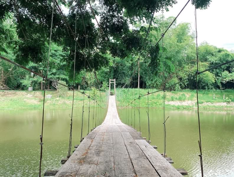 ตำบลบางพระ อำเภอศรีราชา จังหวัดชลบุรี, Chon Buri (Pattaya), Bang Phra, Si Racha, Chon Buri (Pattaya), , 8,492 sqm, Land For Sale, by Nattipha Thanyawat, 500151194 - DDproperty.com