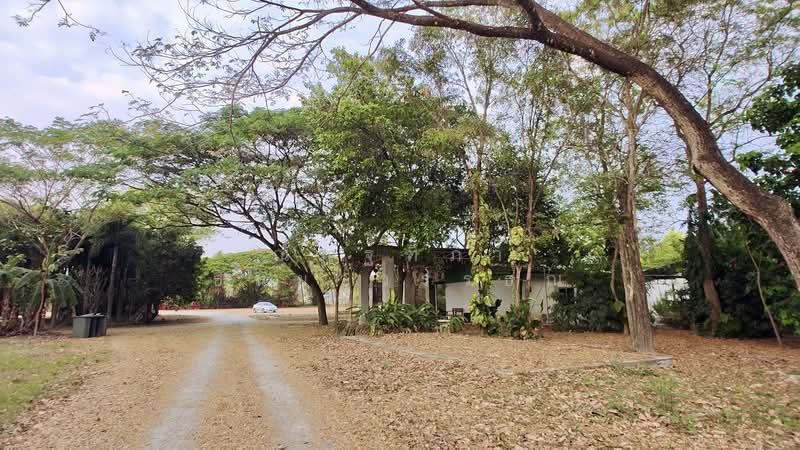 ตำบลบางพระ อำเภอศรีราชา จังหวัดชลบุรี, Chon Buri (Pattaya), Bang Phra, Si Racha, Chon Buri (Pattaya), , 8,492 sqm, Land For Sale, by Nattipha Thanyawat, 500151194 - DDproperty.com