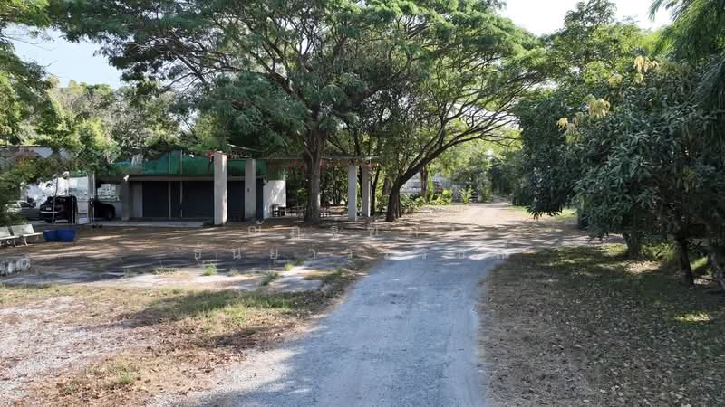 ตำบลบางพระ อำเภอศรีราชา จังหวัดชลบุรี, ชลบุรี, บางพระ, ศรีราชา, ชลบุรี, 8,492 ตร.ม., ที่ดิน ขาย, โดย ณัฏฐ์ฑิภา ธันยาวรรธณ์, 500151194 - DDproperty.com