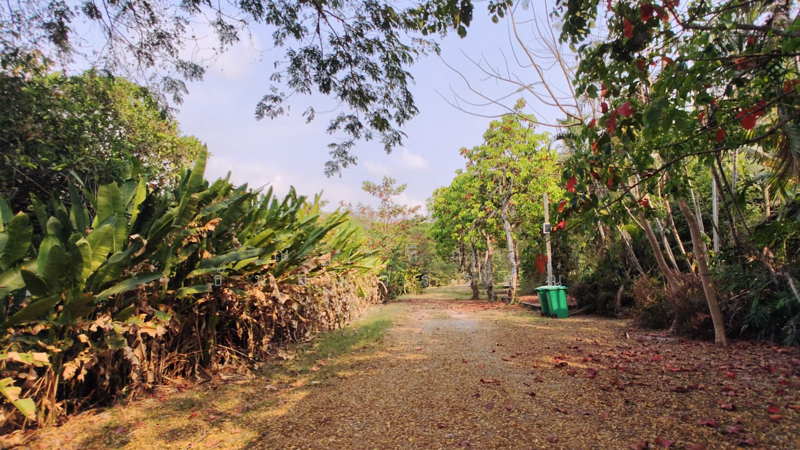 ตำบลบางพระ อำเภอศรีราชา จังหวัดชลบุรี, Chon Buri (Pattaya), Bang Phra, Si Racha, Chon Buri (Pattaya), , 8,492 sqm, Land For Sale, by Nattipha Thanyawat, 500151194 - DDproperty.com