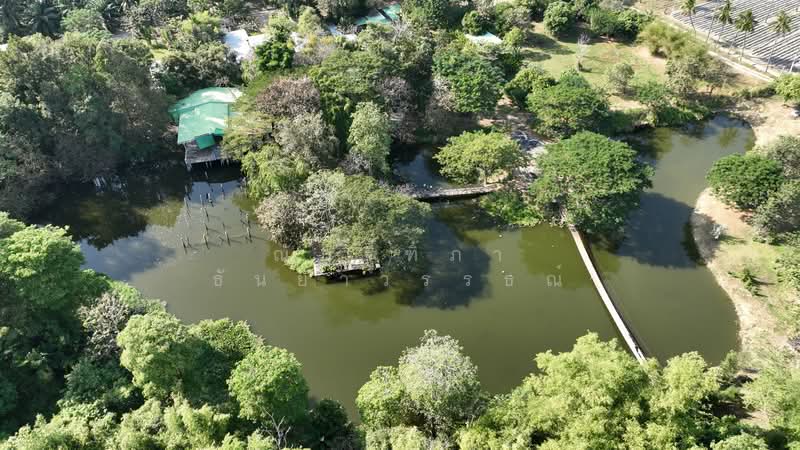 ตำบลบางพระ อำเภอศรีราชา จังหวัดชลบุรี, Chon Buri (Pattaya), Bang Phra, Si Racha, Chon Buri (Pattaya), , 8,492 sqm, Land For Sale, by Nattipha Thanyawat, 500151194 - DDproperty.com