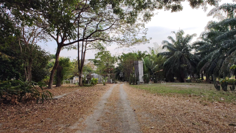 ตำบลบางพระ อำเภอศรีราชา จังหวัดชลบุรี, Chon Buri (Pattaya), Bang Phra, Si Racha, Chon Buri (Pattaya), , 8,492 sqm, Land For Sale, by Nattipha Thanyawat, 500151194 - DDproperty.com