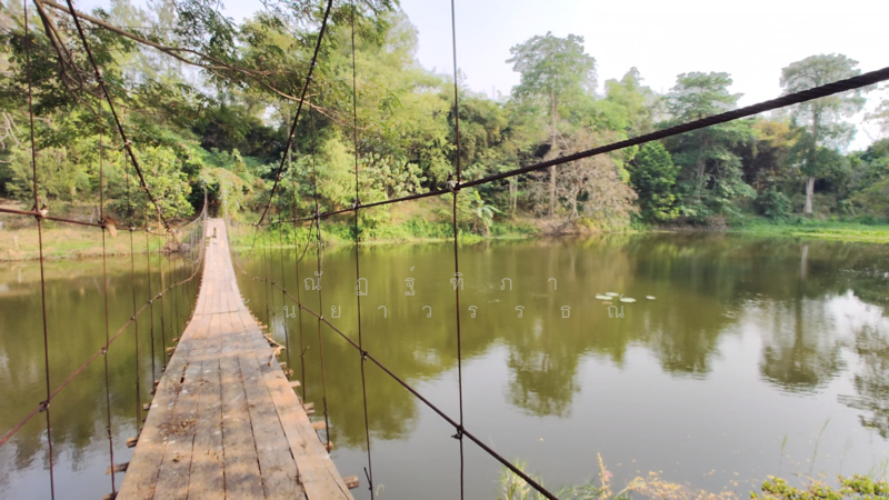 ตำบลบางพระ อำเภอศรีราชา จังหวัดชลบุรี, ชลบุรี, บางพระ, ศรีราชา, ชลบุรี, 8,492 ตร.ม., ที่ดิน ขาย, โดย ณัฏฐ์ฑิภา ธันยาวรรธณ์, 500151194 - DDproperty.com