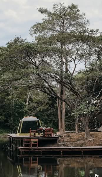 ตำบลบางพระ อำเภอศรีราชา จังหวัดชลบุรี, ชลบุรี, บางพระ, ศรีราชา, ชลบุรี, 8,492 ตร.ม., ที่ดิน ขาย, โดย ณัฏฐ์ฑิภา ธันยาวรรธณ์, 500151194 - DDproperty.com