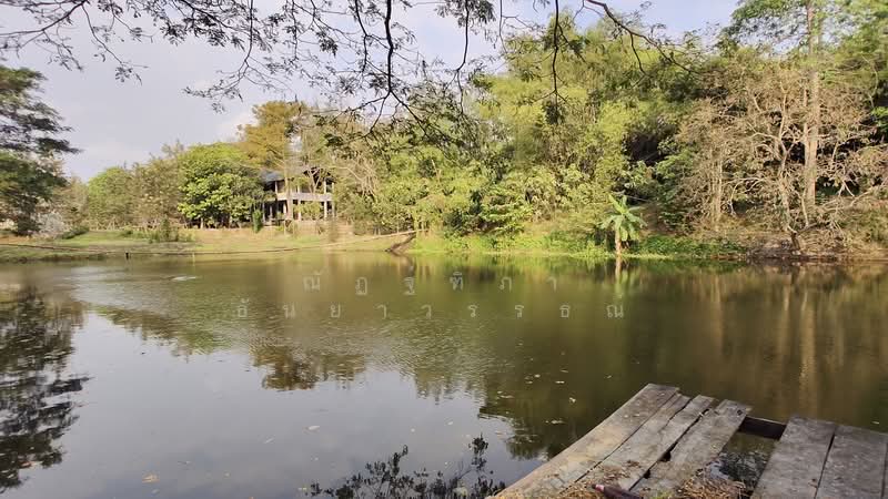 ตำบลบางพระ อำเภอศรีราชา จังหวัดชลบุรี, ชลบุรี, บางพระ, ศรีราชา, ชลบุรี, 8,492 ตร.ม., ที่ดิน ขาย, โดย ณัฏฐ์ฑิภา ธันยาวรรธณ์, 500151194 - DDproperty.com