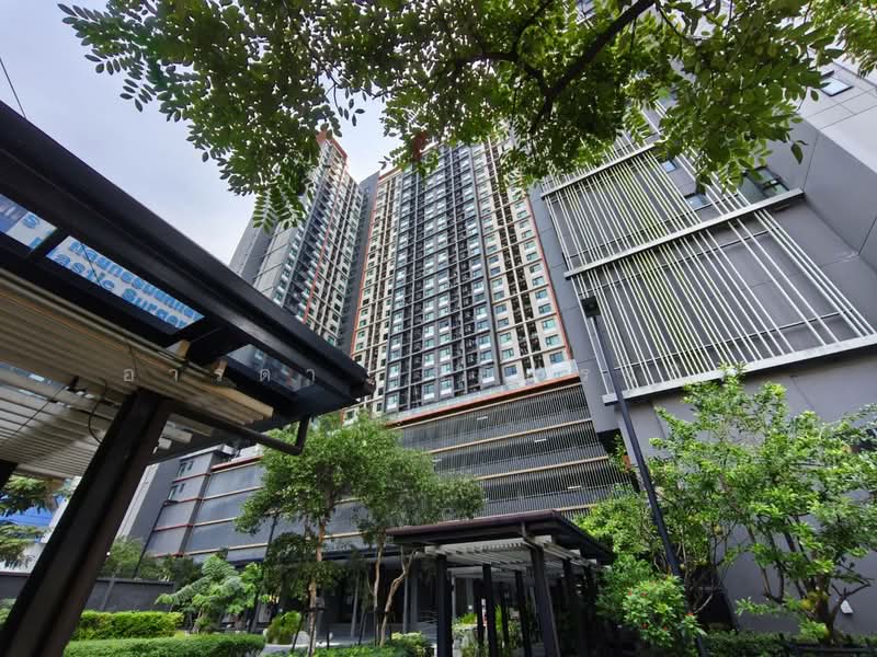 Life Asoke : ไลฟ์ อโศก, กรุงเทพ, ถนนอโศก-ดินแดง แขวงบางกะปิ เขตห้วยขวาง กทม., บางกะปิ, ห้วยขวาง, กรุงเทพ, 35 ตร.ม., คอนโด ให้เช่า, โดย อารดา นิธิธำรงกิจ, 500151228 - DDproperty.com