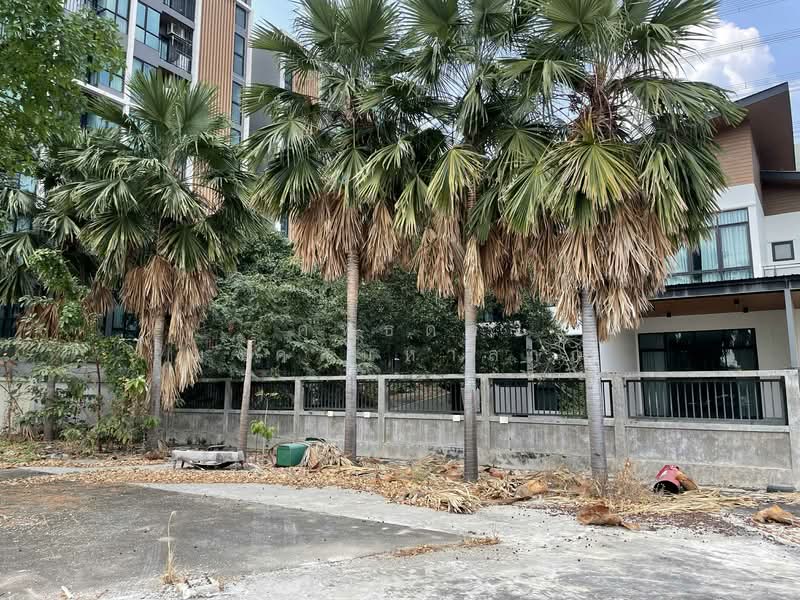 ขายที่ดินพร้อมบ้านเดี่ยว 2 ชั้น ถนนเลียบคลองประปา ต.คลองเกลือ อ.ปากเกร็ด นนทบุรี, Nonthaburi, ถนนเลียบคลองประปา, Khlong Klue, Pak Kret, Nonthaburi, , 2,400 sqm, Land For Sale, by ศุทธดา มงคลมหาลาภ, 500151283 - DDproperty.com