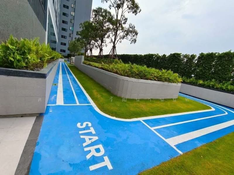 The Livin Phetkasem, Bangkok, 689 Petchkasem Road, Bang Wa, Phasi Charoen, Bangkok, 1 Bedroom, 34 sqm, Condo For Rent, by ศราวุธ วัฒนานนท์, 500151288 - DDproperty.com