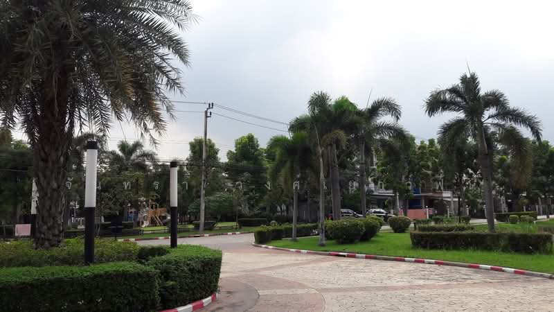 Vista avenue, Bangkok, เพชรเกษม 81, Nong Kham, Nong Khaem, Bangkok, 3 Bedrooms, 124 sqm, Townhouse For Rent, by Chantra Wongyaofa, 500151323 - DDproperty.com