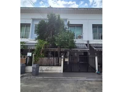 ขาย - Pleno Rama 5-Pinklao : เดอะ พลีโน่ พระราม5-ปิ่นเกล้า, นนทบุรี