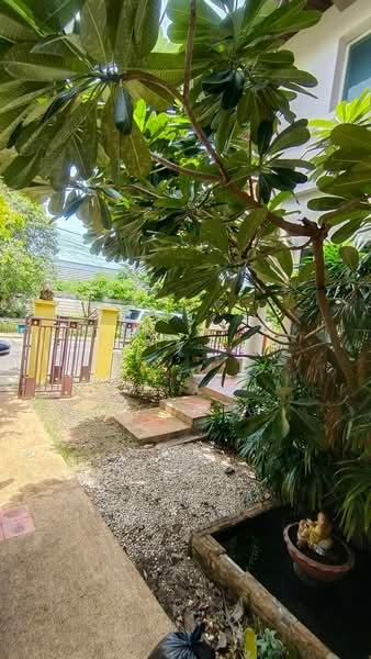 นนทวดี, นนทบุรี, บางศรีเมือง, เมืองนนทบุรี, นนทบุรี, 180 ตร.ม., บ้านเดี่ยว ขาย, โดย นันธิกา ศรีสุวรรณ, 500151550 - DDproperty.com